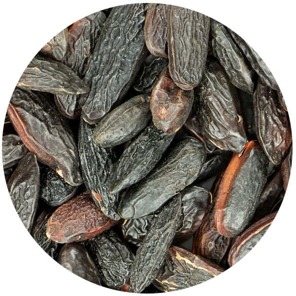 Fazuľa Tonka